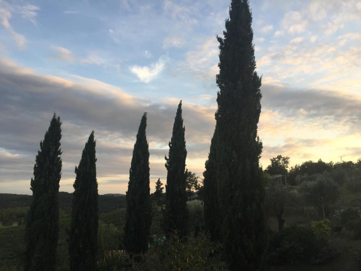 Agriturismo Malpensata Radda in Chianti Bagian luar foto