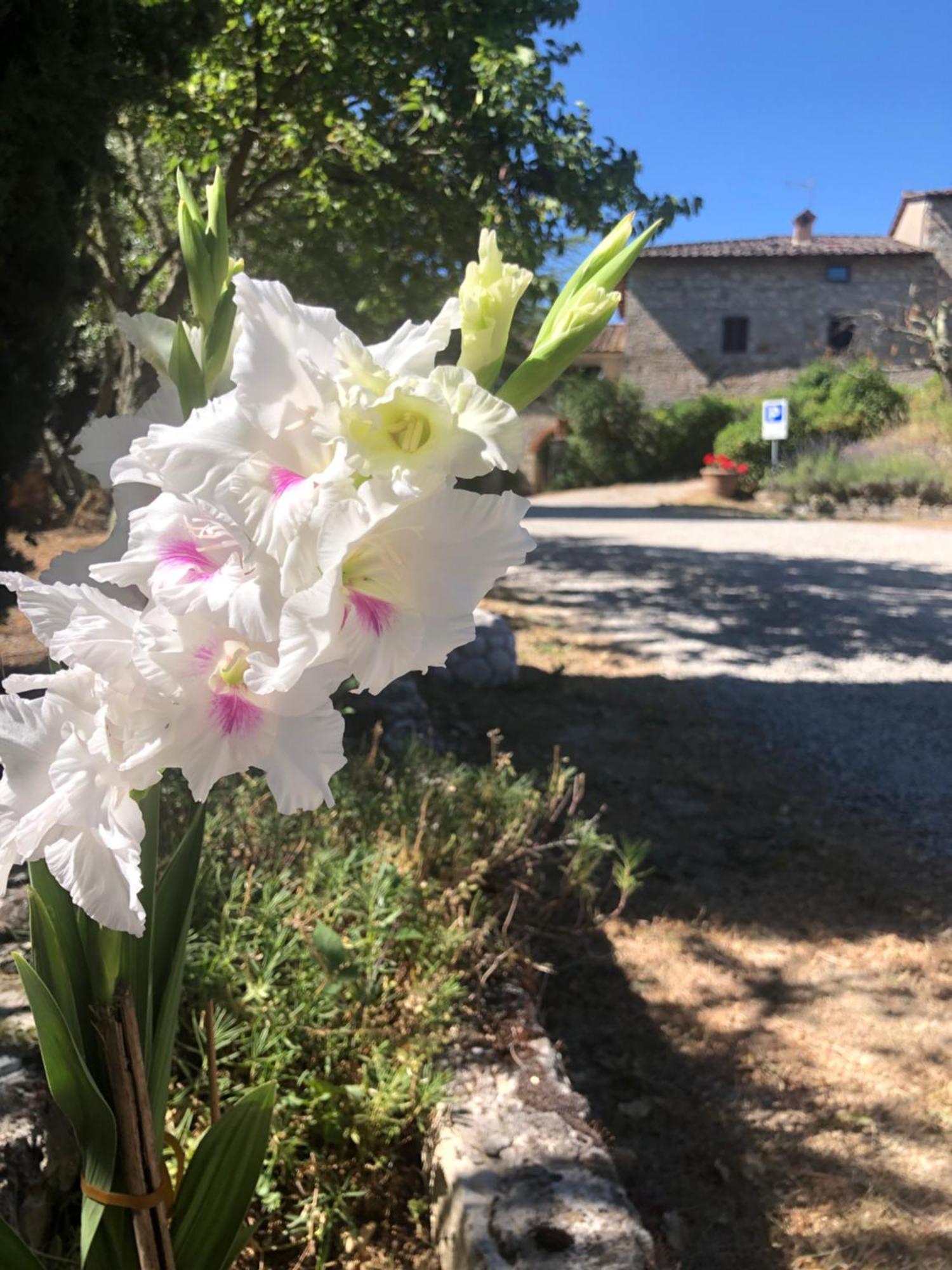 Agriturismo Malpensata Radda in Chianti Bagian luar foto